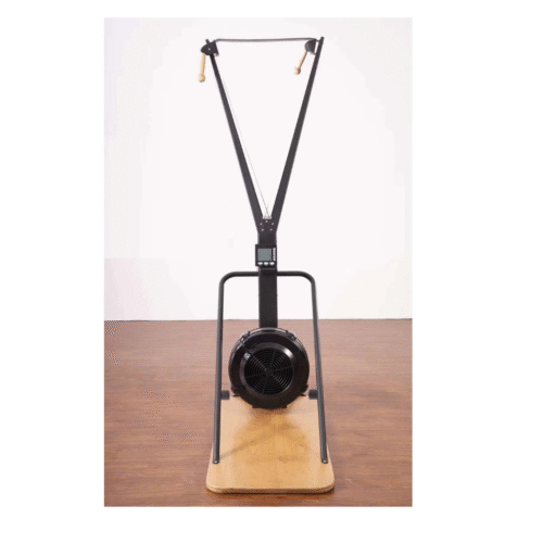 REALFITNESS Ski Erg.