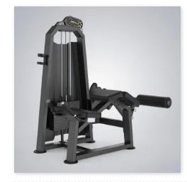 DHZ FITNESS - Prone leg curl